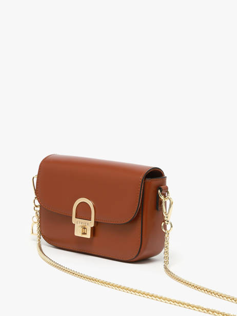 Sac Bandoulière Altair Etrier Marron altair EALA134X vue secondaire 2