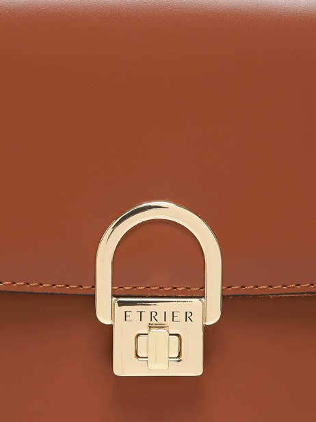Sac Bandoulière Altair Etrier Marron altair EALA134X vue secondaire 5