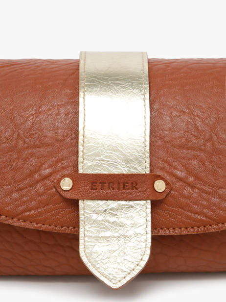 Sac Bandoulière M Agnes Cuir Etrier Marron agnes EAGC205M vue secondaire 3